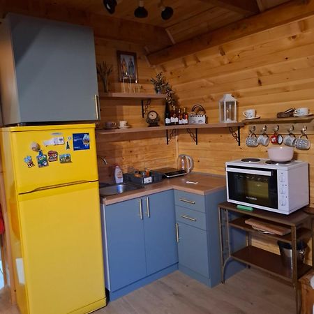 Vila Planinska Kuca Isiteo Kremna Exteriér fotografie